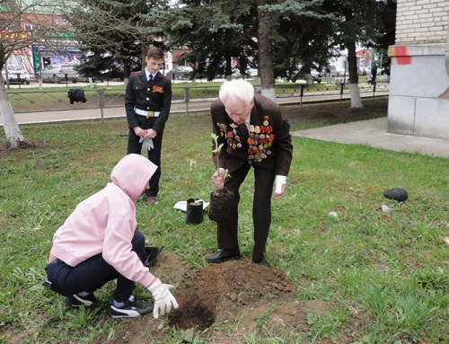 Ветеран сажает дерево