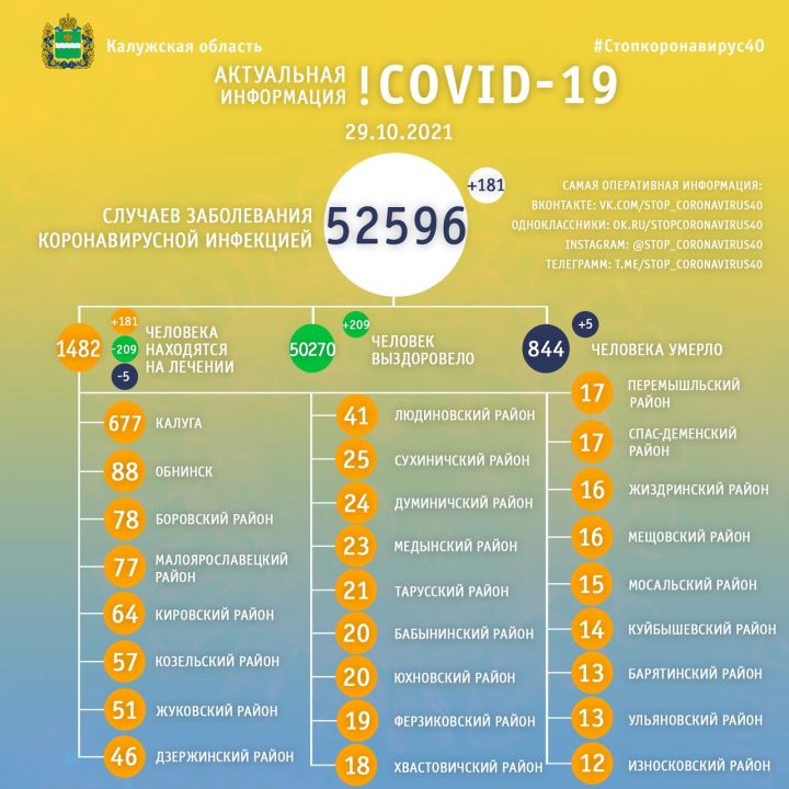 Пять человек скончались от  COVID-19 в Калужской области 29 октября