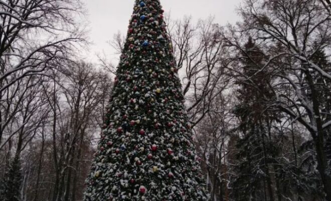 Новогодняя елка в городском парке