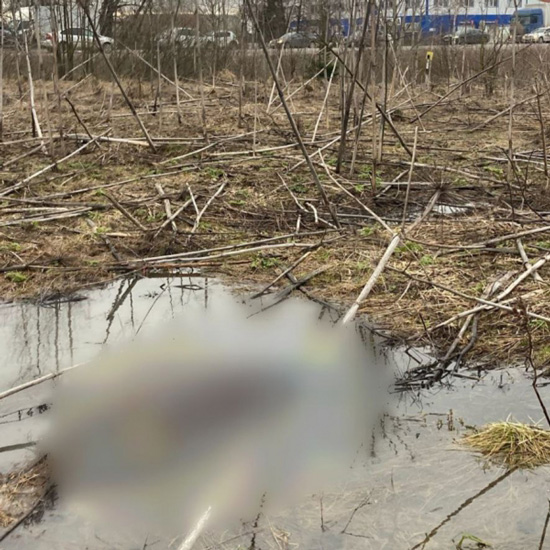 В Обнинске нашли тело женщины, пропавшей в ноябре 2021 года