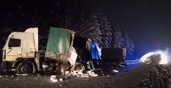 В массовом столкновении на киевской трассе погиб водитель «Скании»