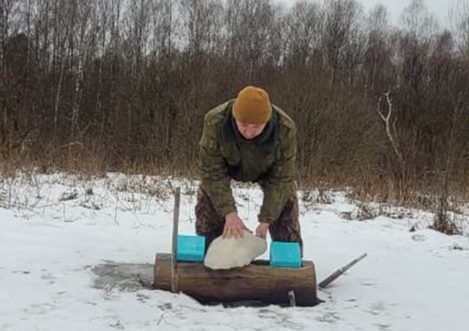 В лесах Калужской области разместят 3,6 тонны соли для подкормки животных
