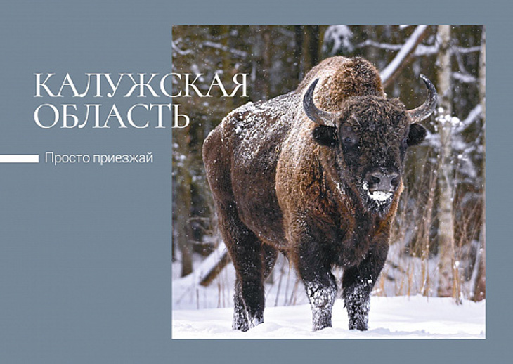 Виды Калужской области появились на открытках Почты России