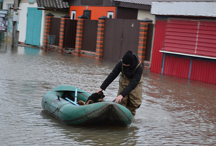 В Козельске эвакуируют жителей, пострадавших от паводка